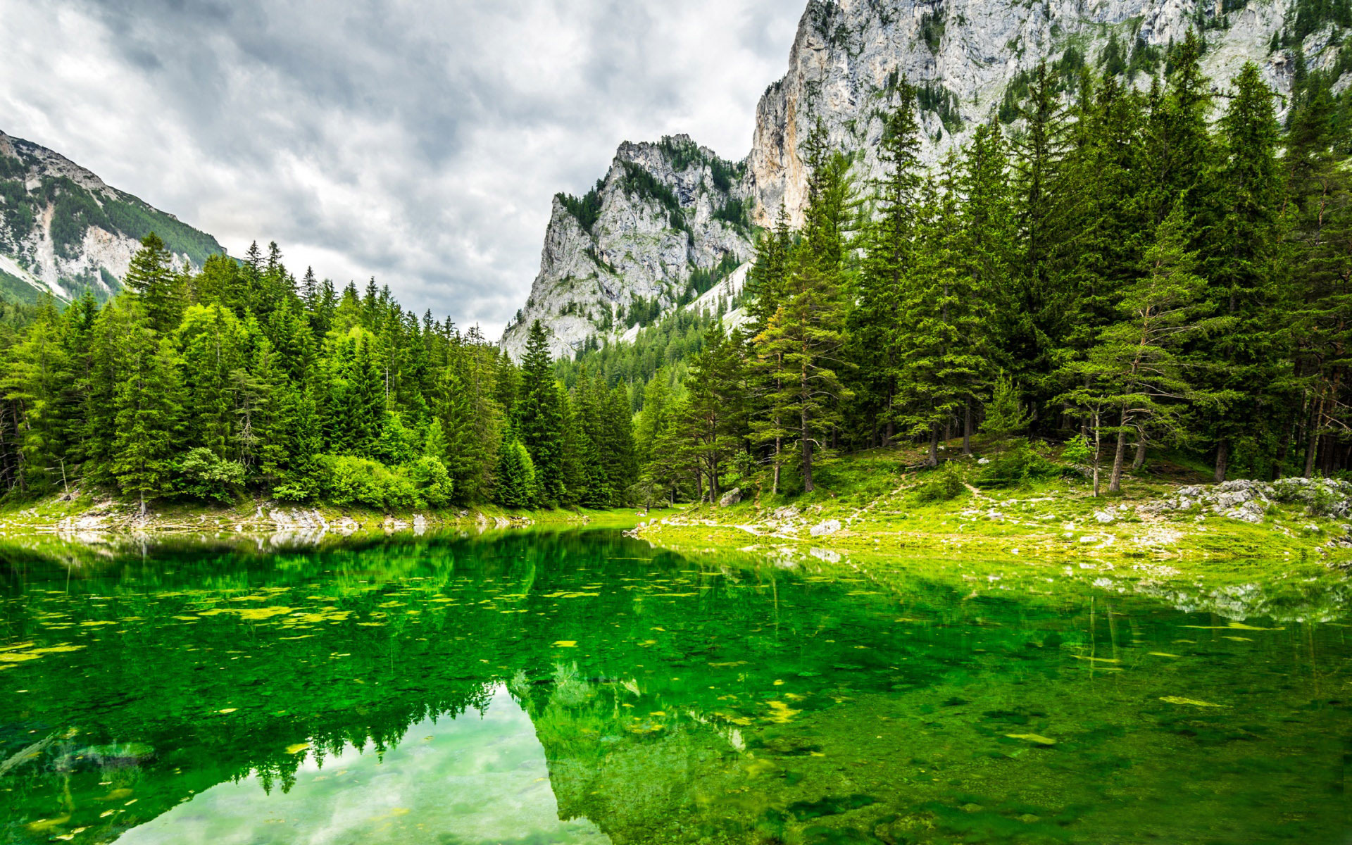هنر استرس و اضطراب را کاهش می دهد