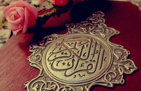فهماندن منويات وسيله‌ اى می خواهد
