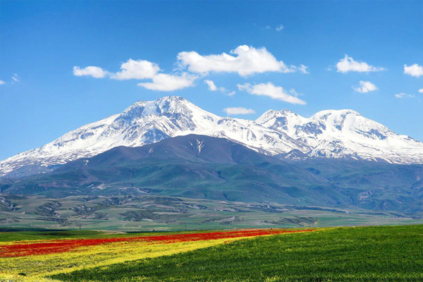 فرش های اردبیل به دلیل نقوش پیچیده، هندسی و رنگ های زنده شهرت جهانی دارند.