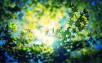 برنامه‌ ریزی ضمیر ناخودآگاهتان