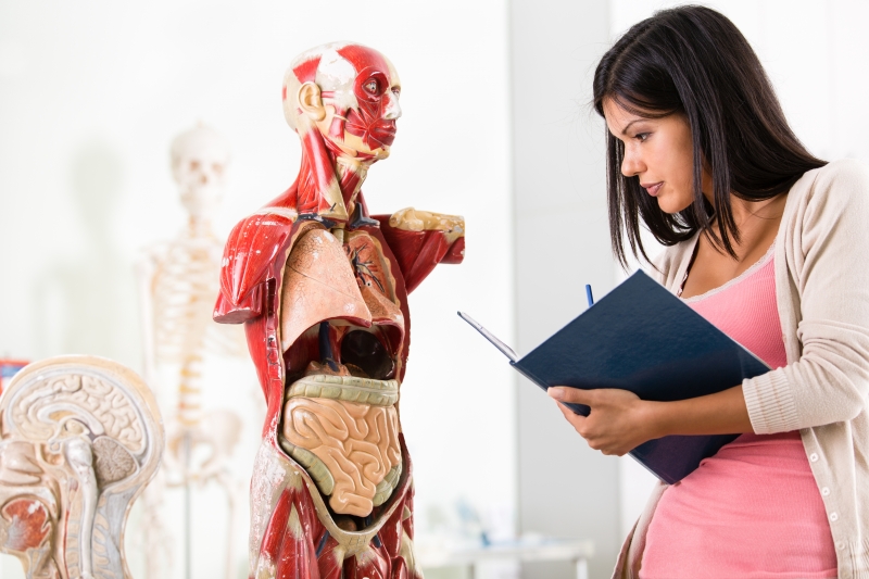 چرا باید کتاب آفرینش انسان را مطالعه کنم؟